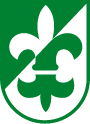PSV Logo